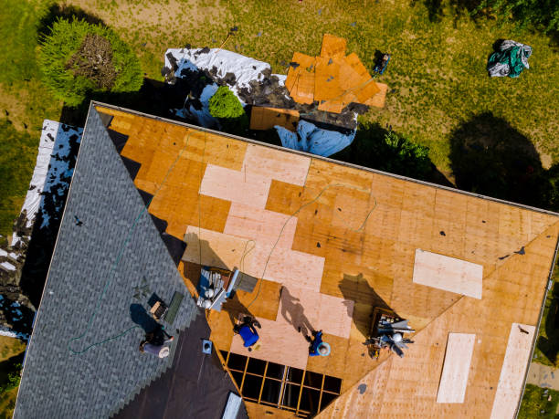 Professional Roofing Contractor in Woodlawn Beach, FL