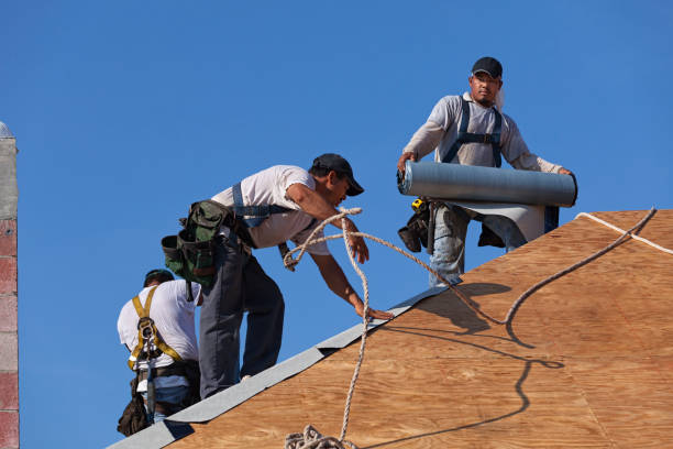 Best Roof Gutter Cleaning  in Woodlawn Beach, FL