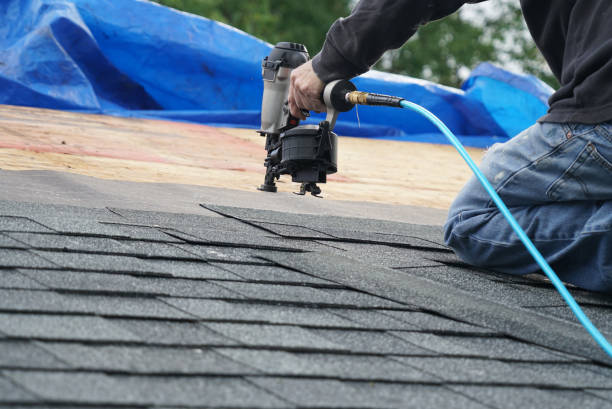 Best Metal Roofing Contractor  in Woodlawn Beach, FL