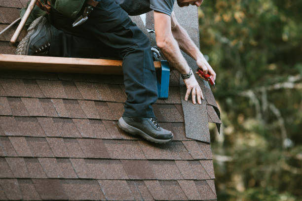 Best Local Roofing Companies  in Woodlawn Beach, FL